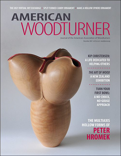American Woodturner 36 issue 6