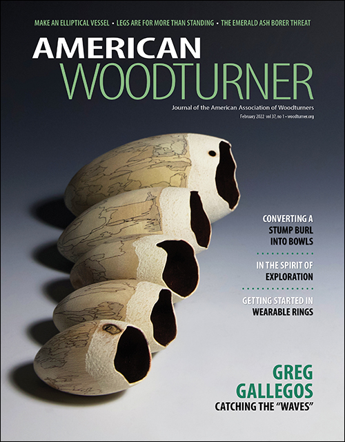 American Woodturner 37 issue 1 - Replacement
