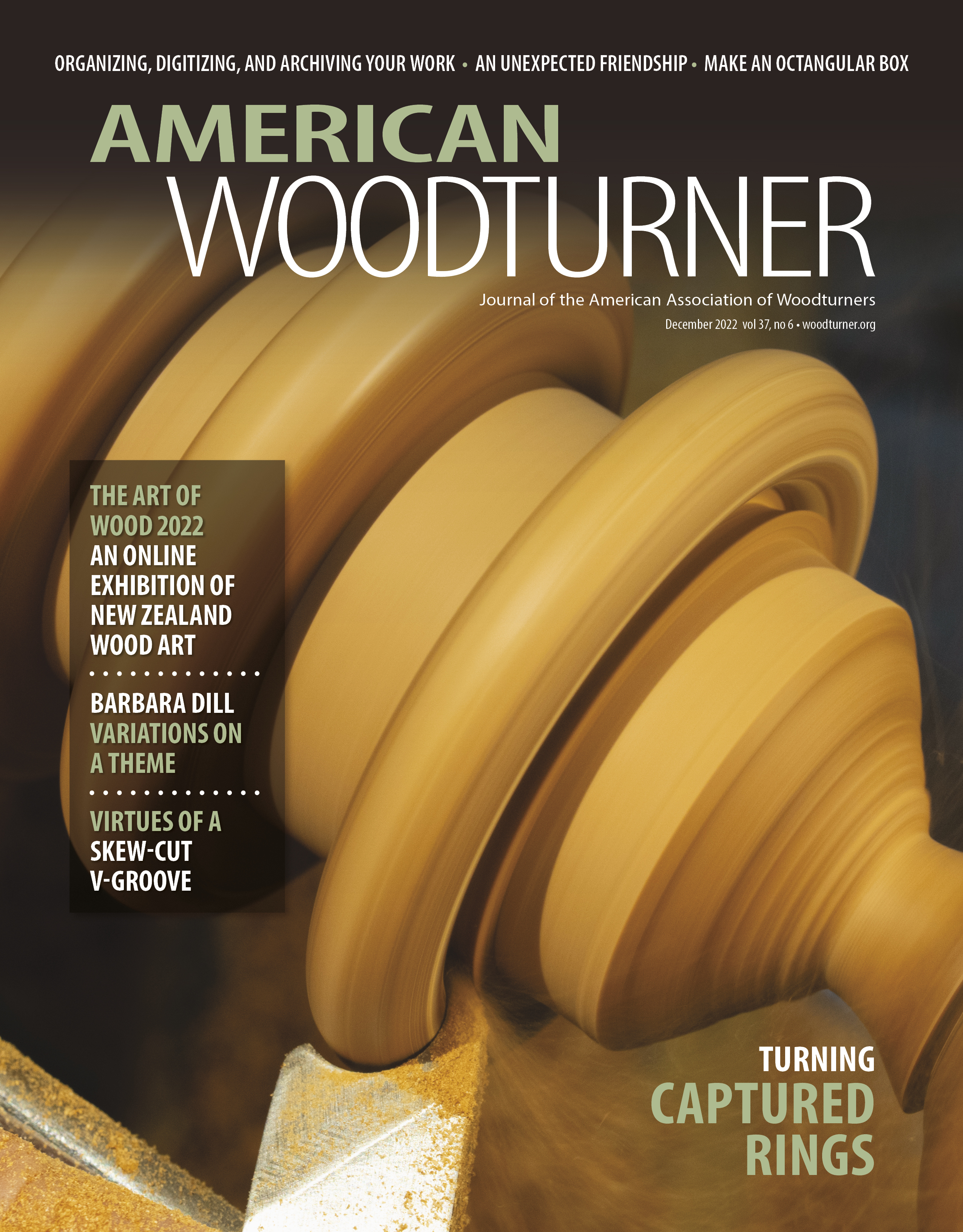 American Woodturner 37 issue 6 Replacement